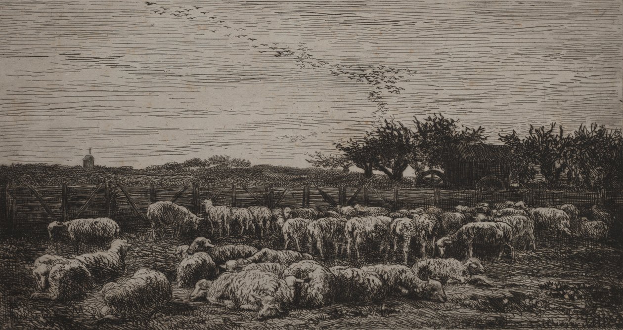 Det stora fårhuset av Charles Francois Daubigny