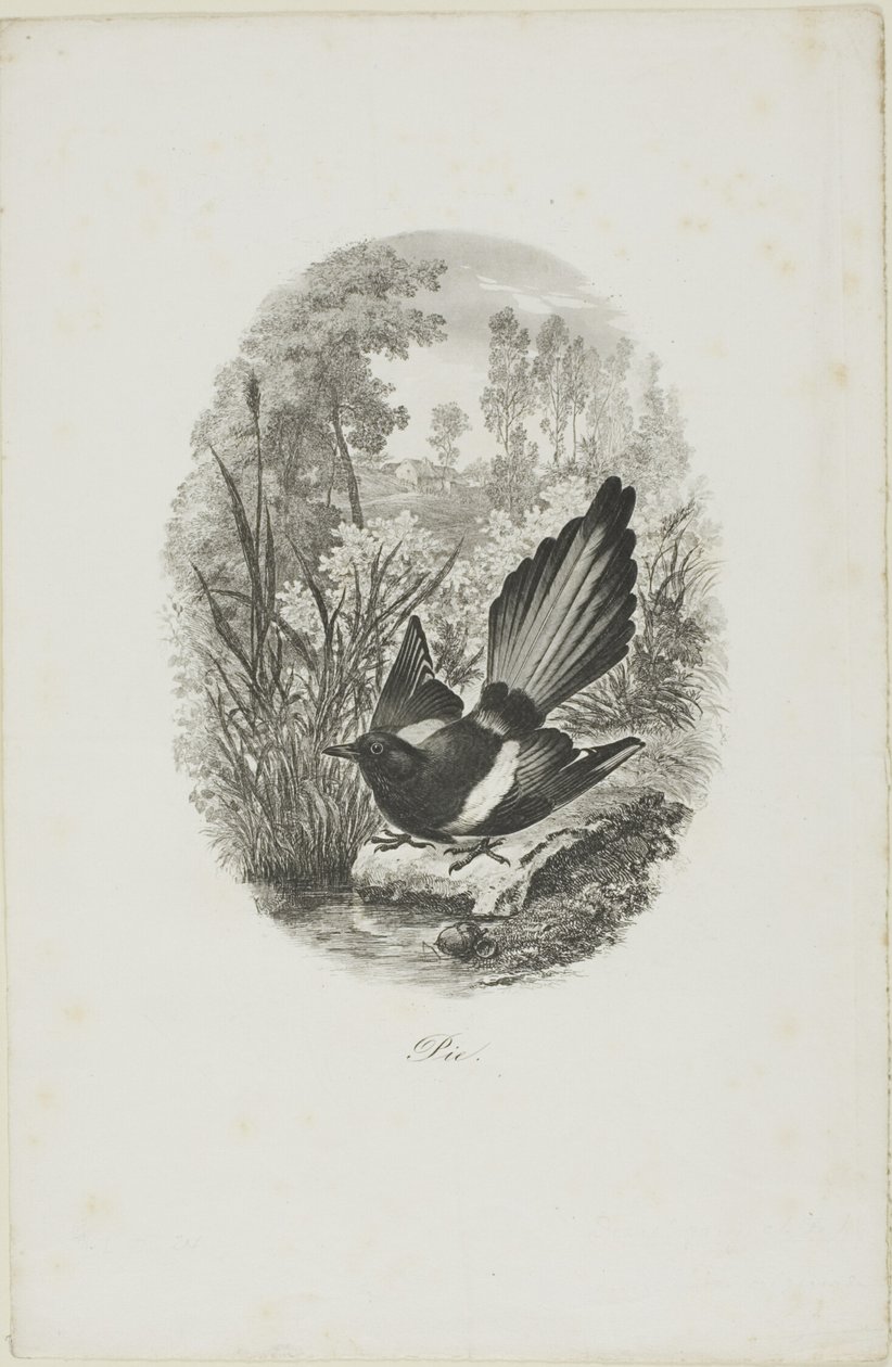 Skatan av Charles Francois Daubigny