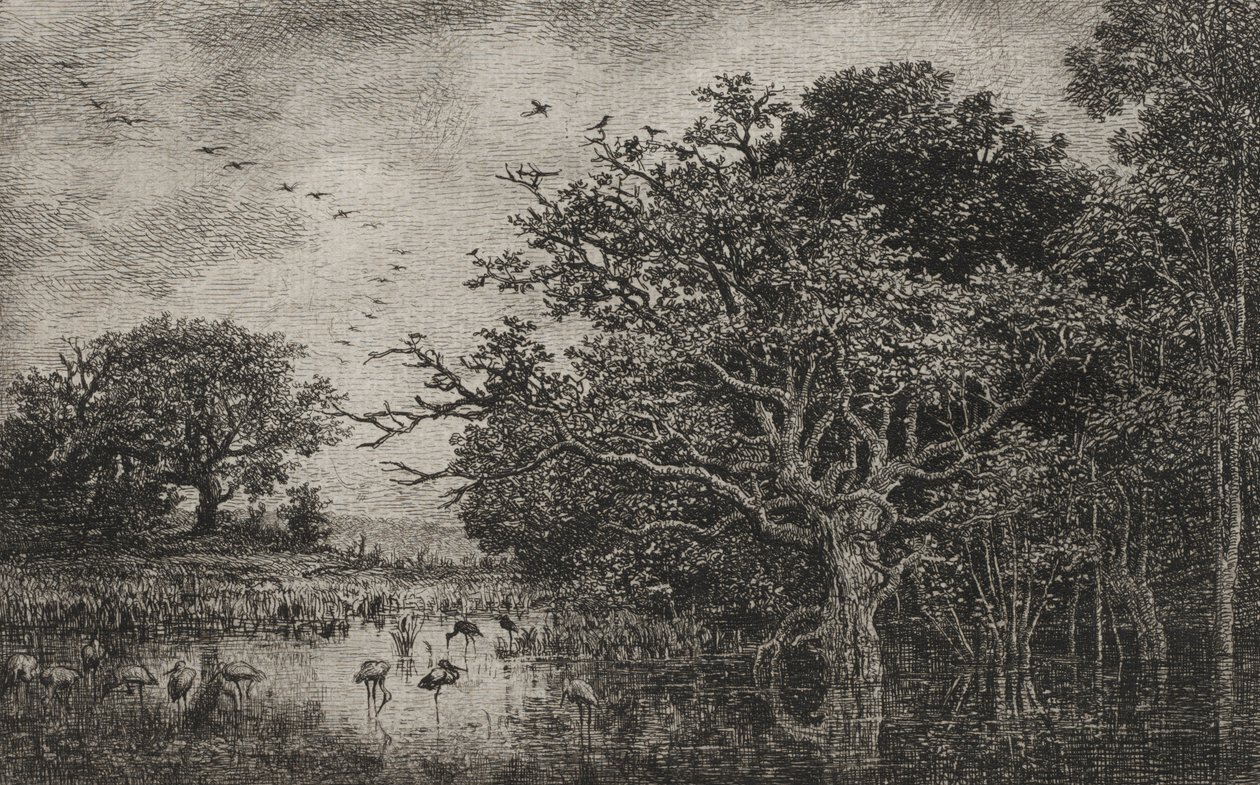Kärret med storkar, ca. 1851. av Charles Francois Daubigny