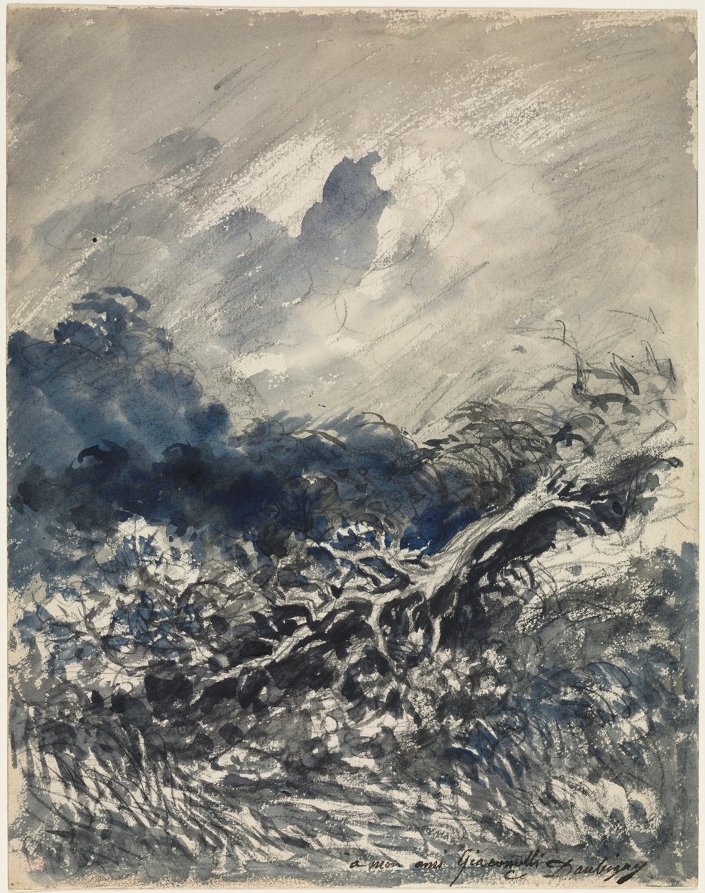 Eken och vassen av Charles Francois Daubigny