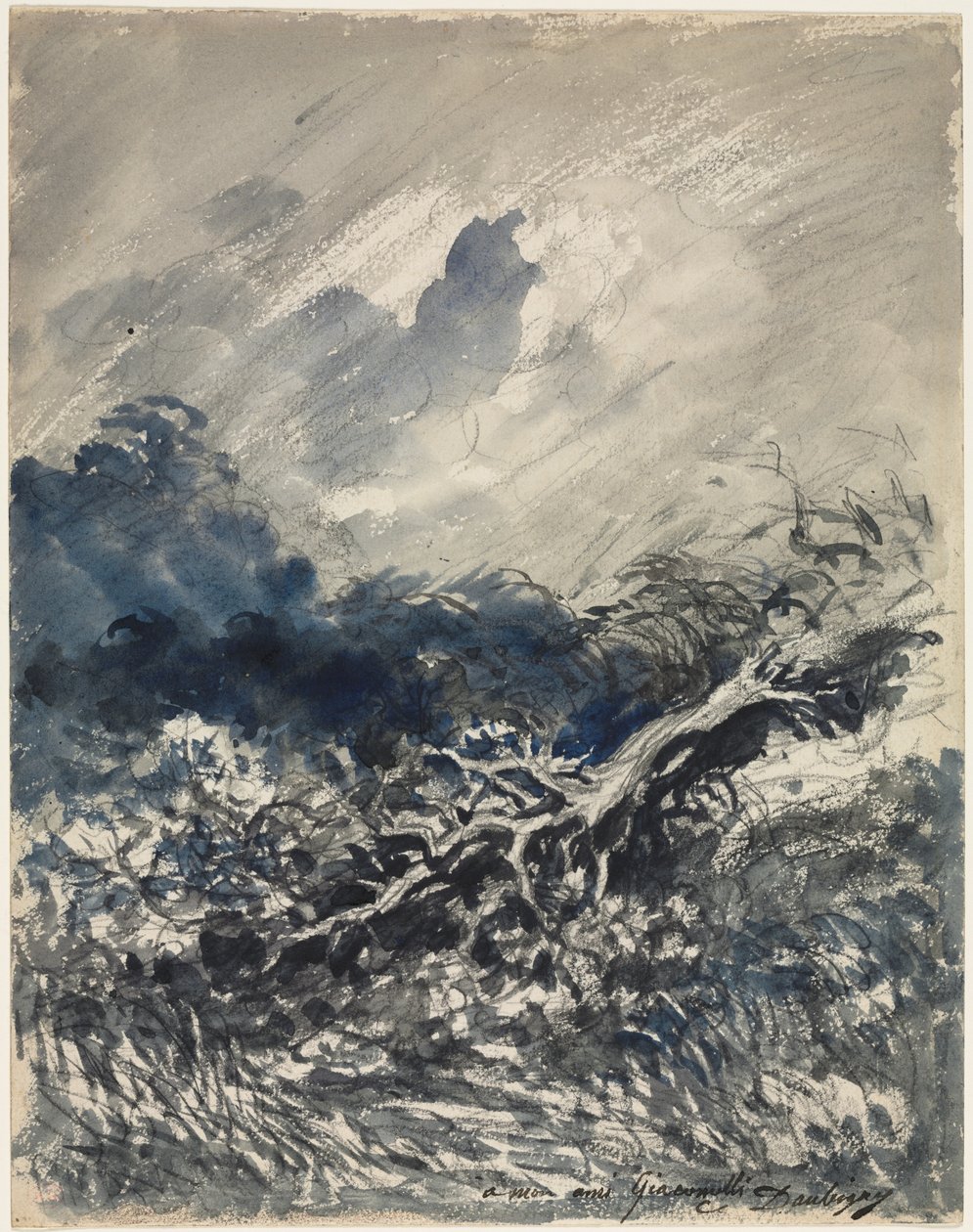 Eken och vassen, ca. 1873 (blått och svart tvätt) av Charles Francois Daubigny