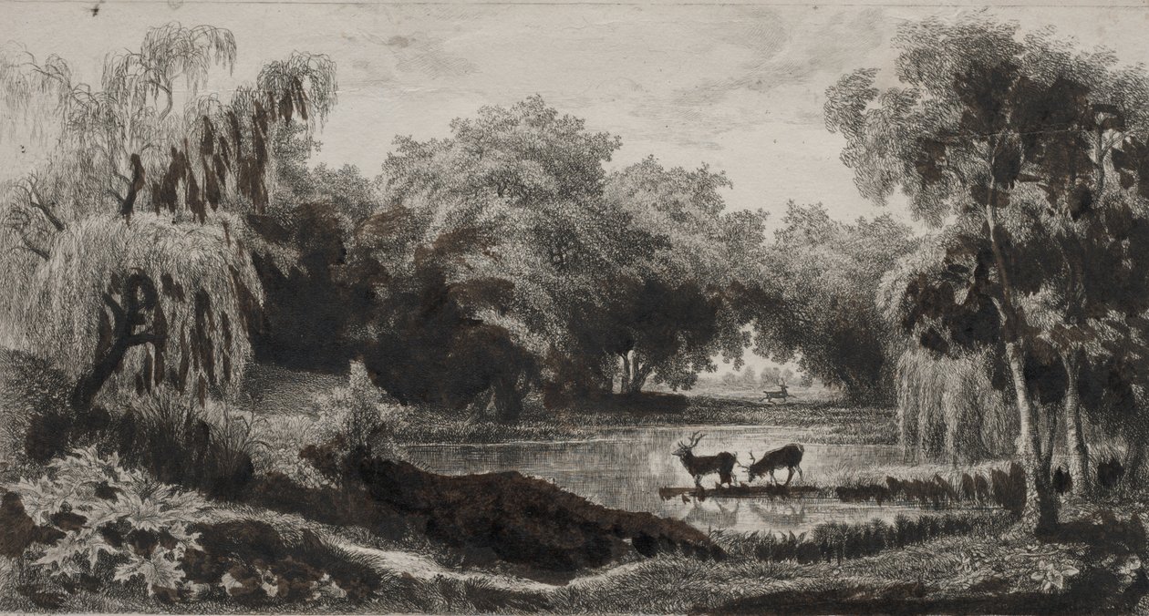 Poolen med Stags av Charles Francois Daubigny