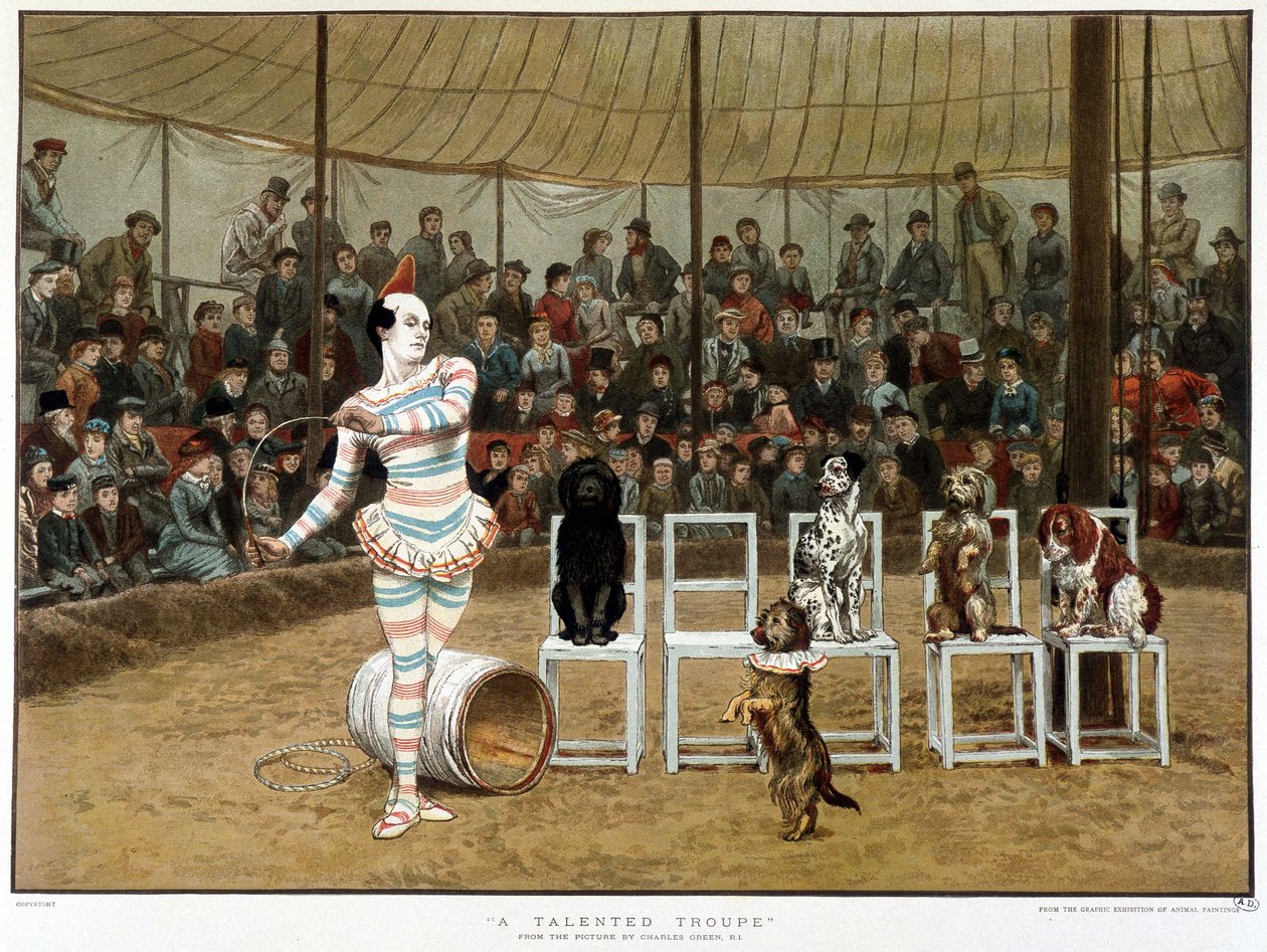 De lärda hundarna: cirkusscen med clown och hundar - efter Charles Green, engelska chromo 1885. ¿De lärda hundarna: cirkusscen med clown och hundar - efter Charles Green, engelsk chromo 1885. ¿ av Charles Green