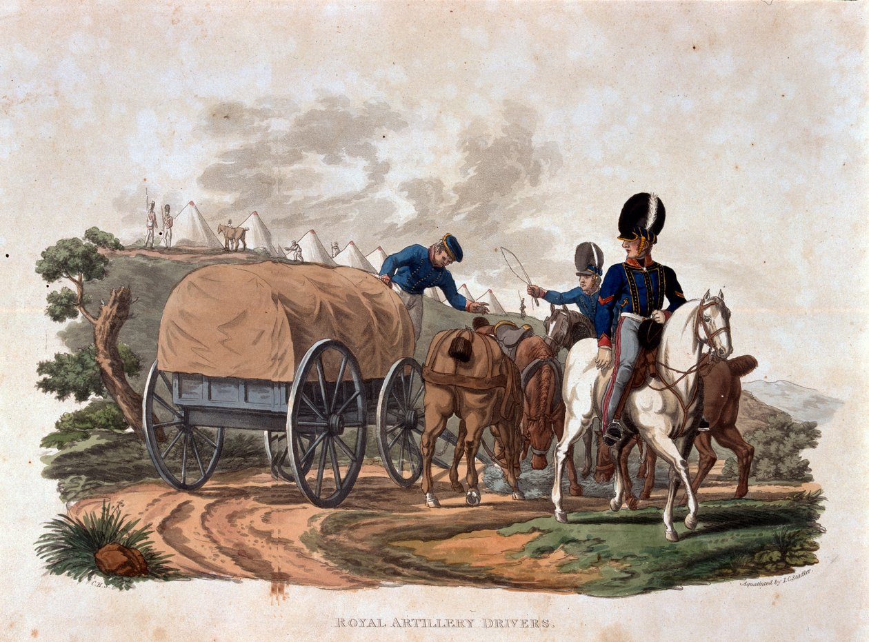Royal Artillery Drivers, från 