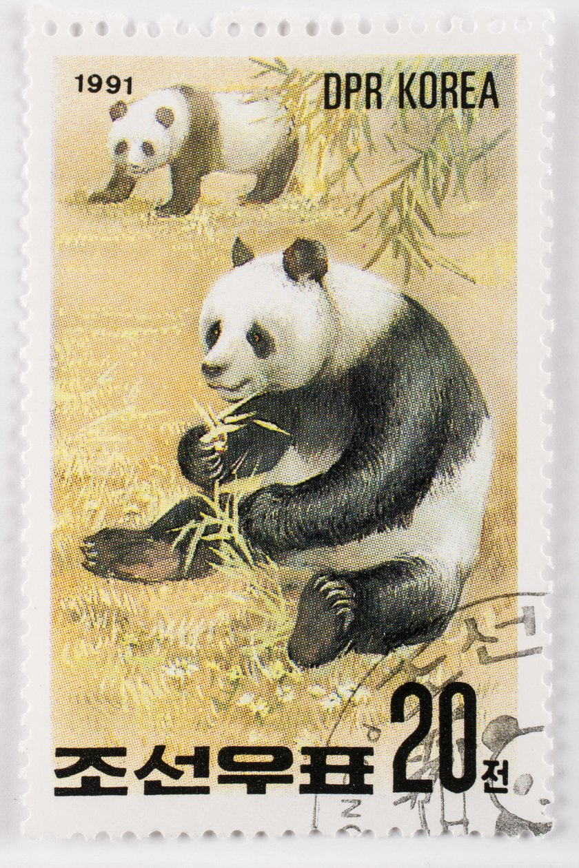 Frimärke/Nordkorea/Ailuropoda melanoleuca/Grand panda/Giant Panda av Augustus Kollner