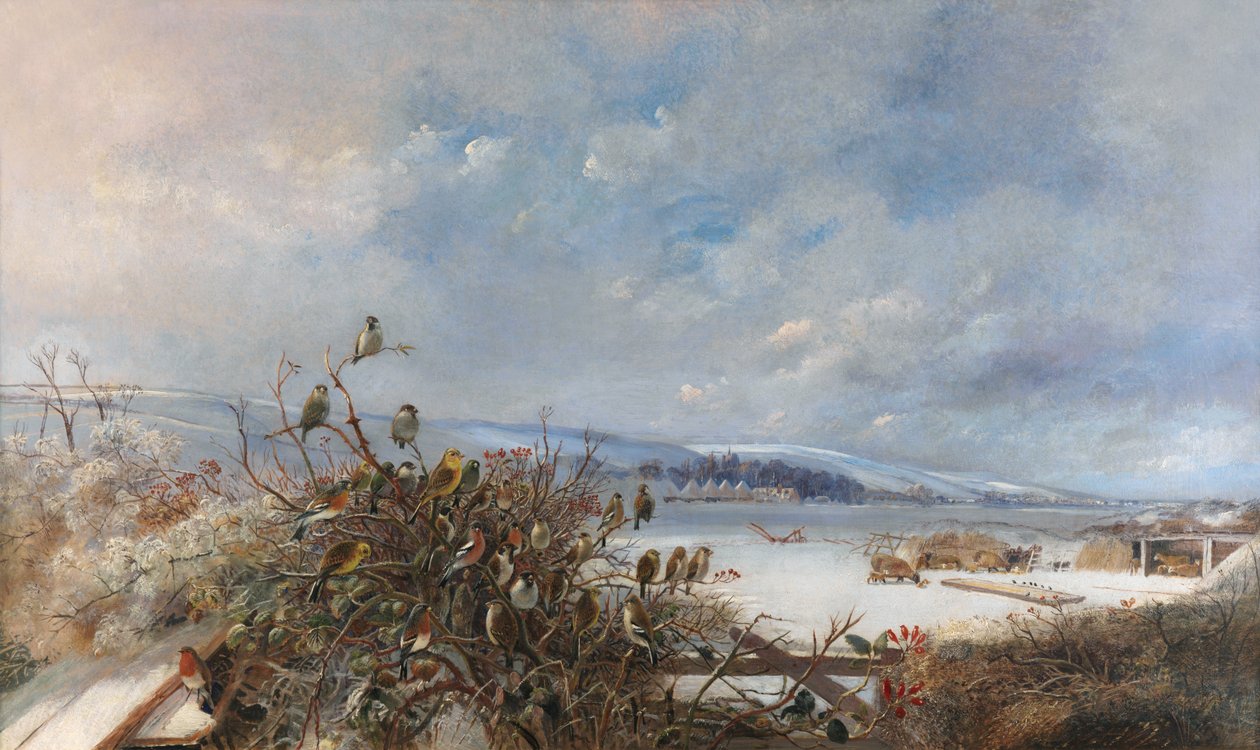 Fåglar av en fjäder av Charles Henry Clifford Baldwyn