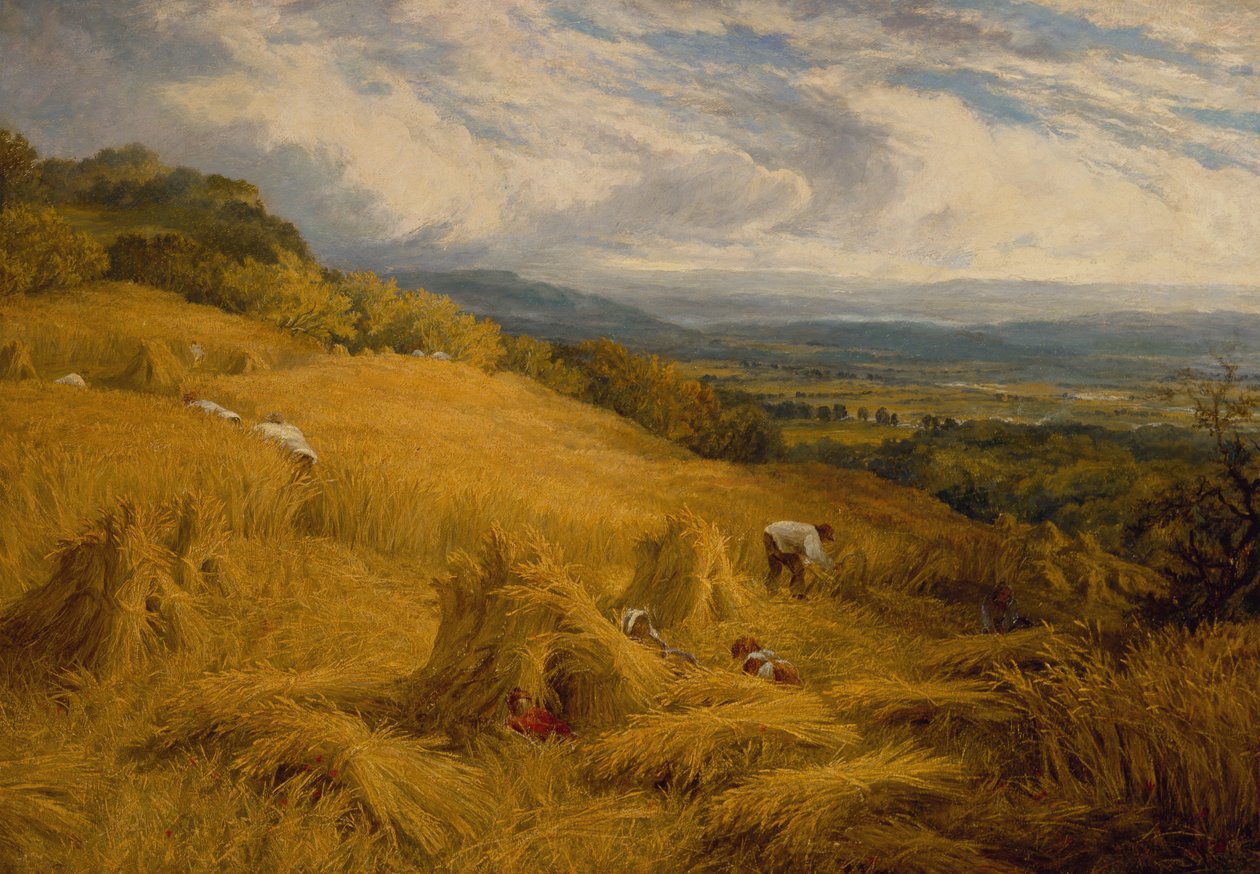 The Harvest (olja på duk) av Charles Henry Passey
