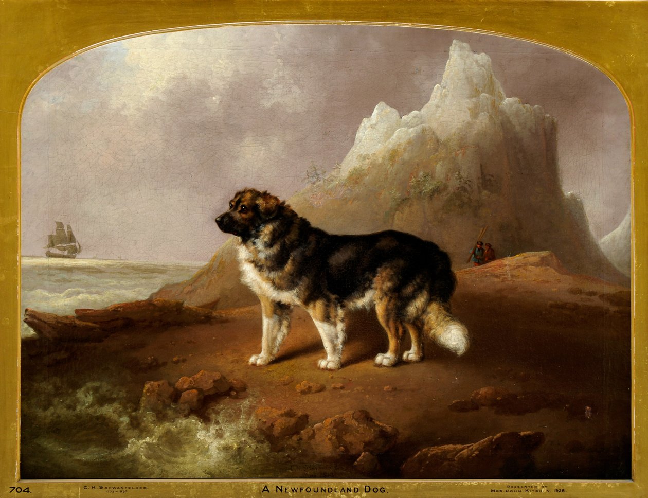 En Newfoundlandshund av Charles Henry Schwanfelder