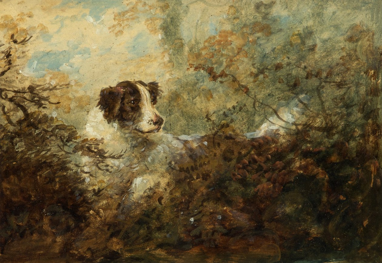 Hund (olja ombord) av Charles Henry Schwanfelder