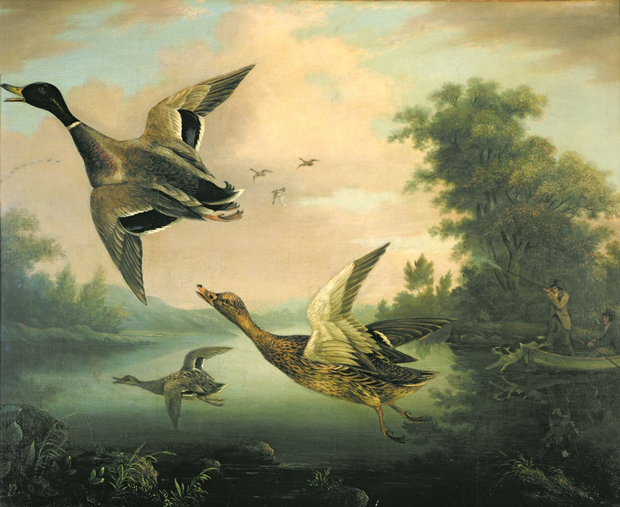Andjakt av Charles Henry Schwanfelder