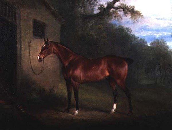 Porträtt av en Bay Hunter bunden till ett stall av Charles Henry Schwanfelder