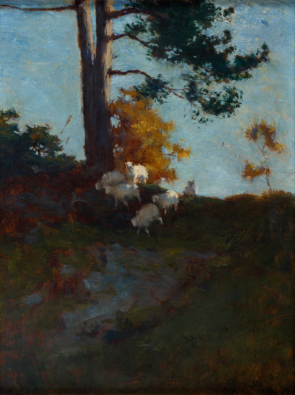 Hillside med får av Charles Hodge Mackie