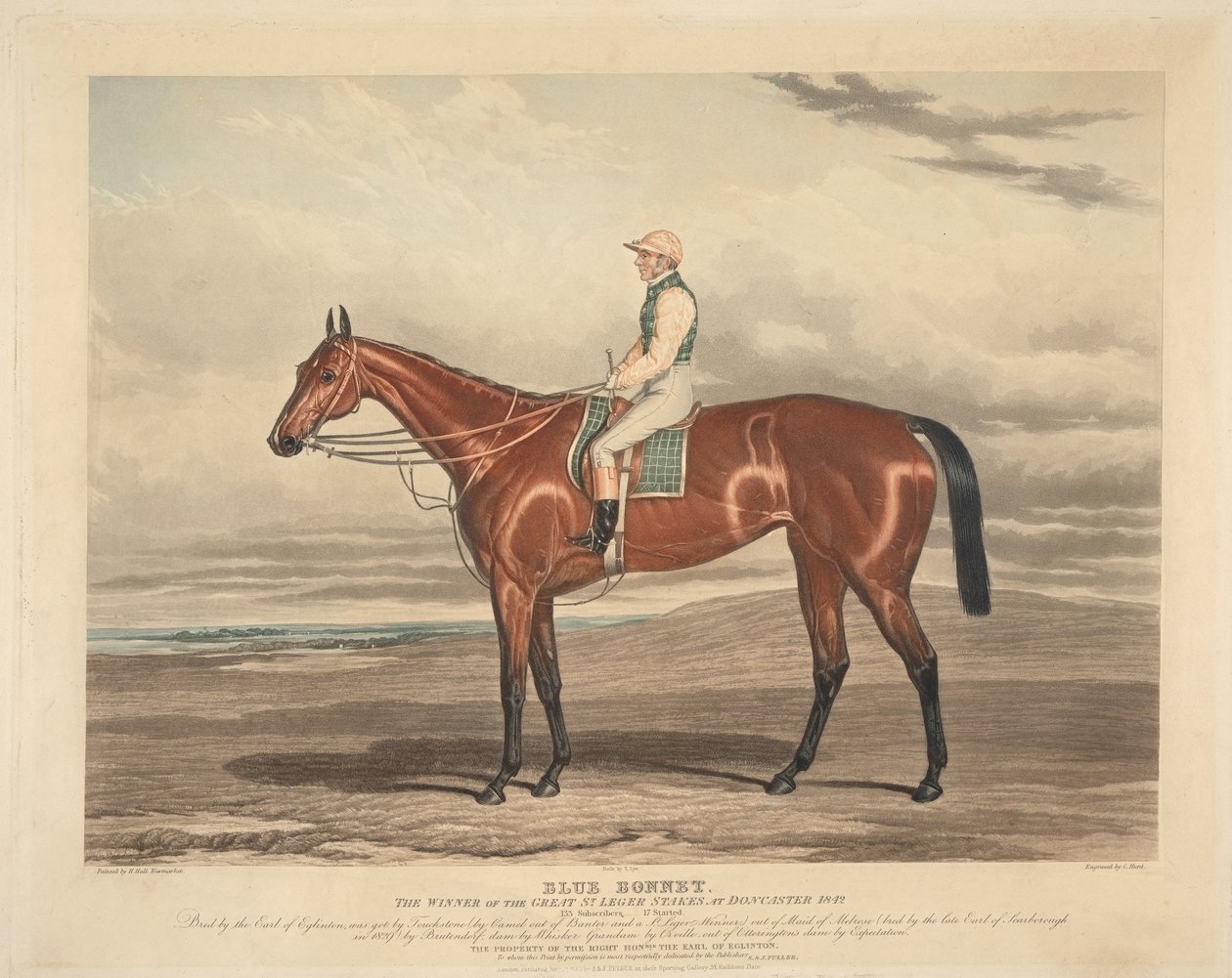 Hästkapplöpning: Blue Bonnet. Vinnaren av de stora St. Leger Stakes i Doncaster 1842 av Charles Hunt