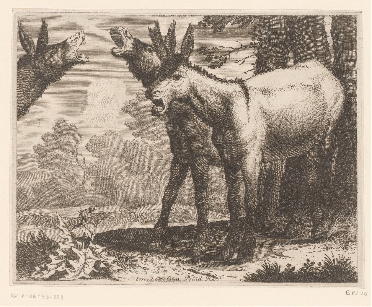 svidande åsnor Djurserie (serietitel) av Charles II Errard (attributed to)