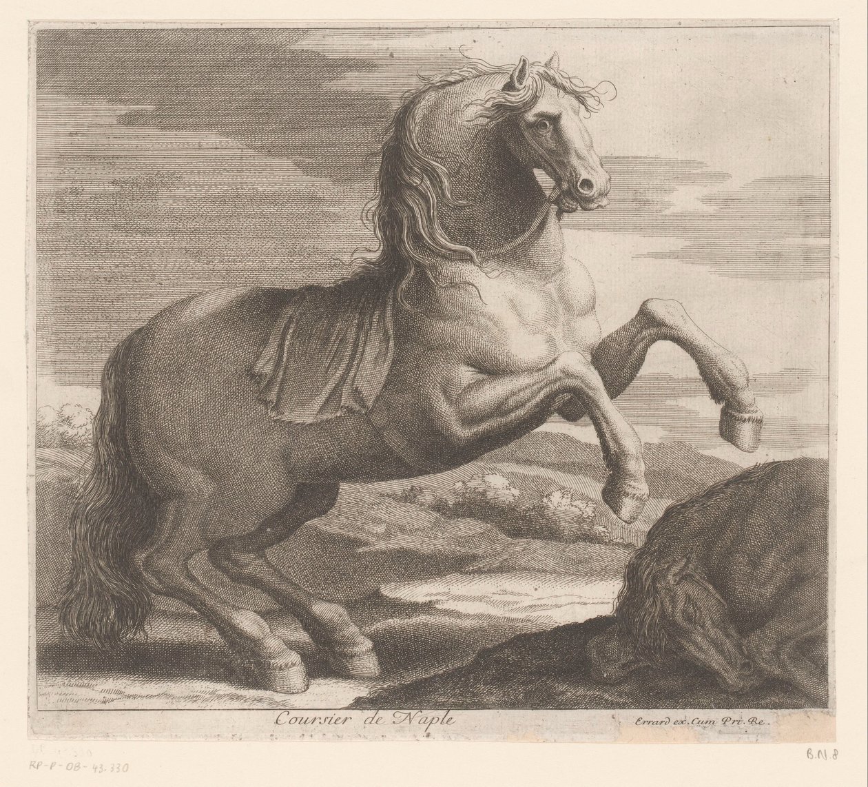 uppfödande häst Coursier de Naples (titel på objekt) Djurserie (serietitel) av Charles II Errard (attributed to)