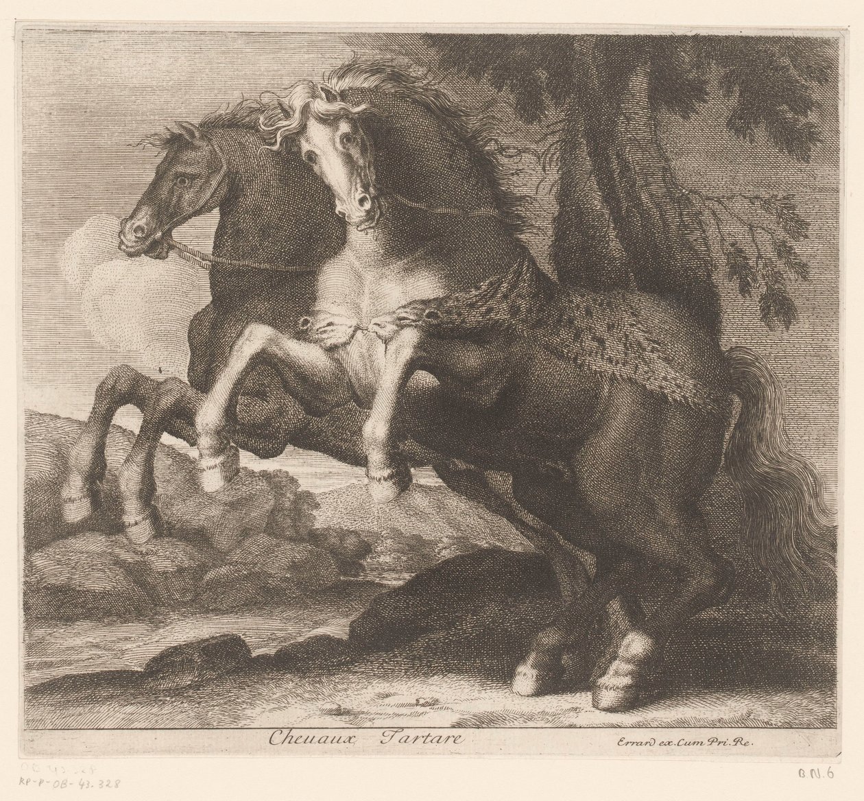 föda upp hästar Chevaux Tartare (titel på objekt) Djurserie (serietitel) av Charles II Errard (attributed to)