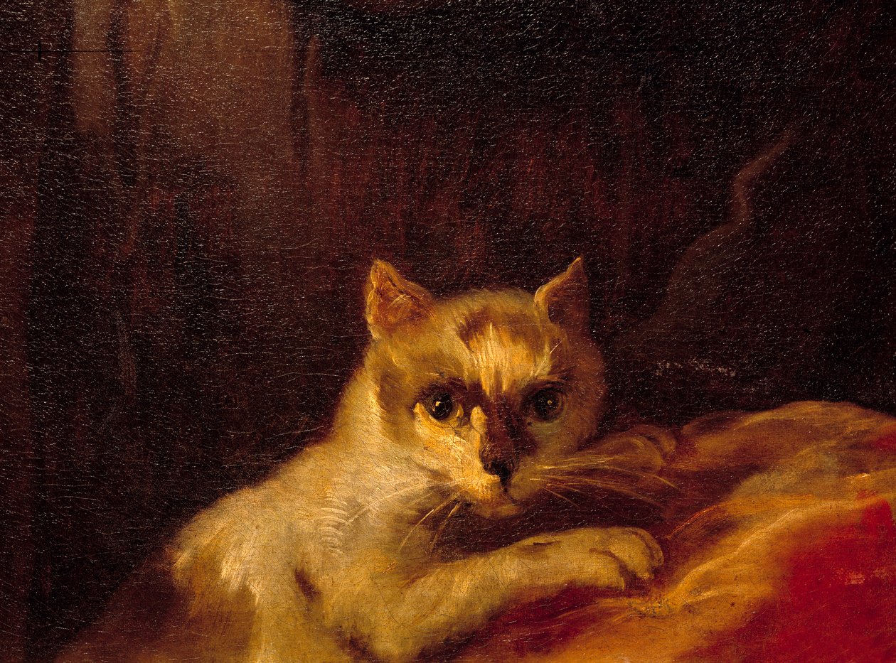 Mademoiselle de Charolais Detalj som representerar katten. Målning av Charles Joseph Natoire (Charles-Joseph Natoire av Charles Joseph Natoire