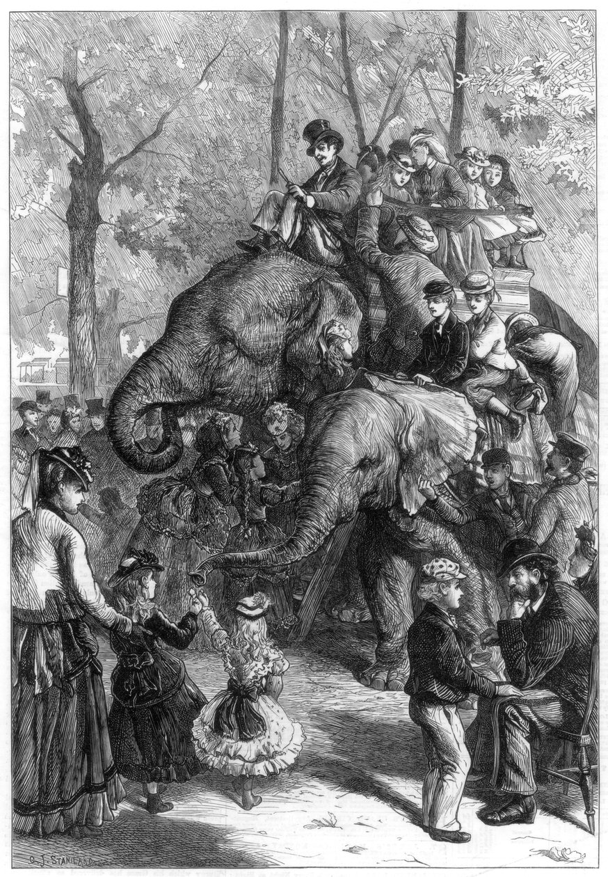 Måndag eftermiddag i zoologiska föreningens trädgårdar, 1871. av Charles Joseph Staniland