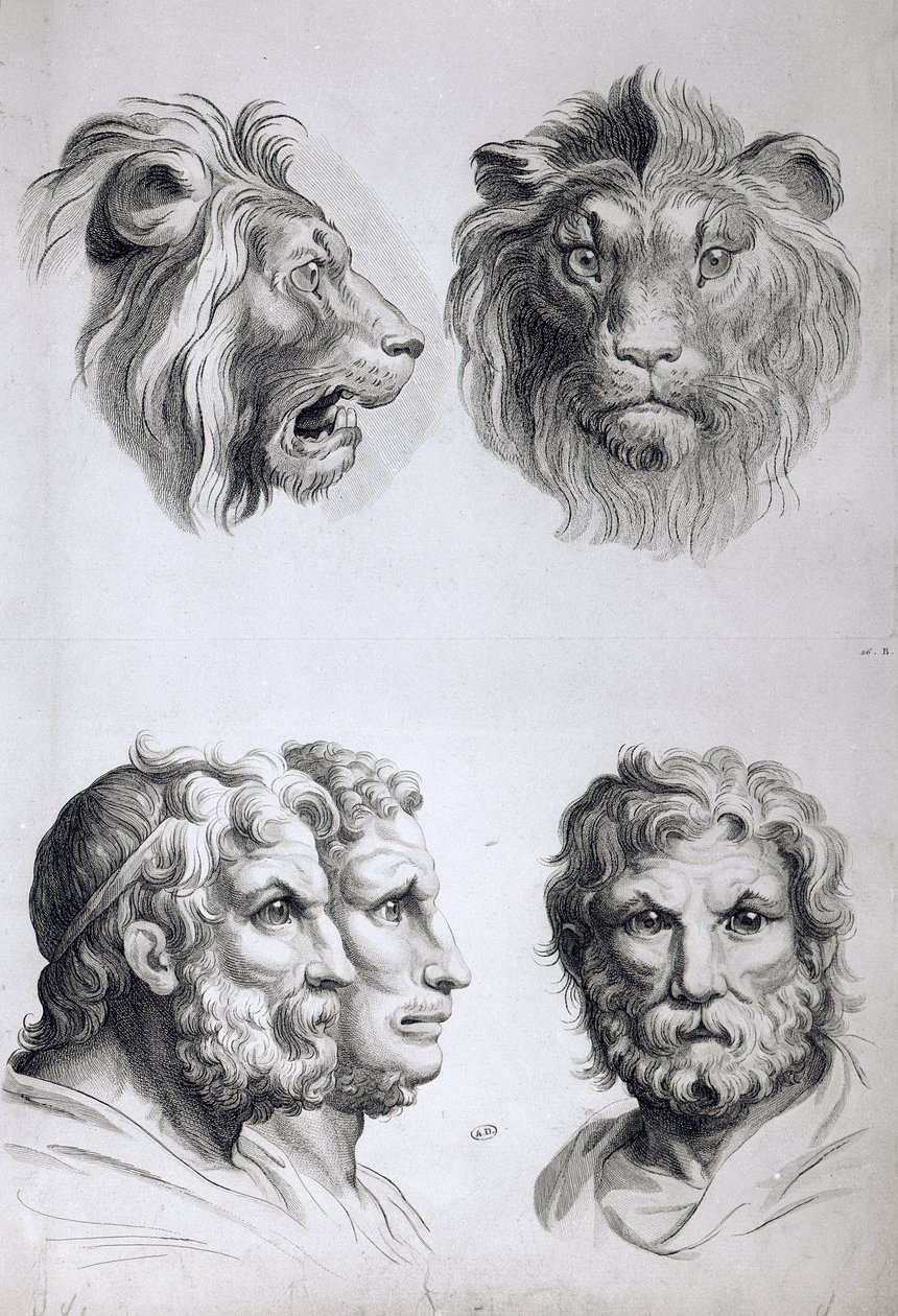 Likheter mellan huvudet på ett lejon och en man, från "Boken om porträtt för dem som börjar rita" av Le Brun av Charles Le Brun