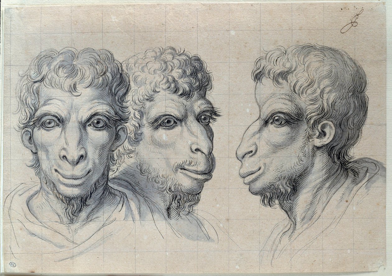 Studier av tre mäns huvuden som påminner om kamelens fysionomi Teckning av Charles Lebrun (Le Brun) (1619-1690) 1600-talet. Dämpa. 0,22x0,32 m. Paris, Louvren av Charles Le Brun