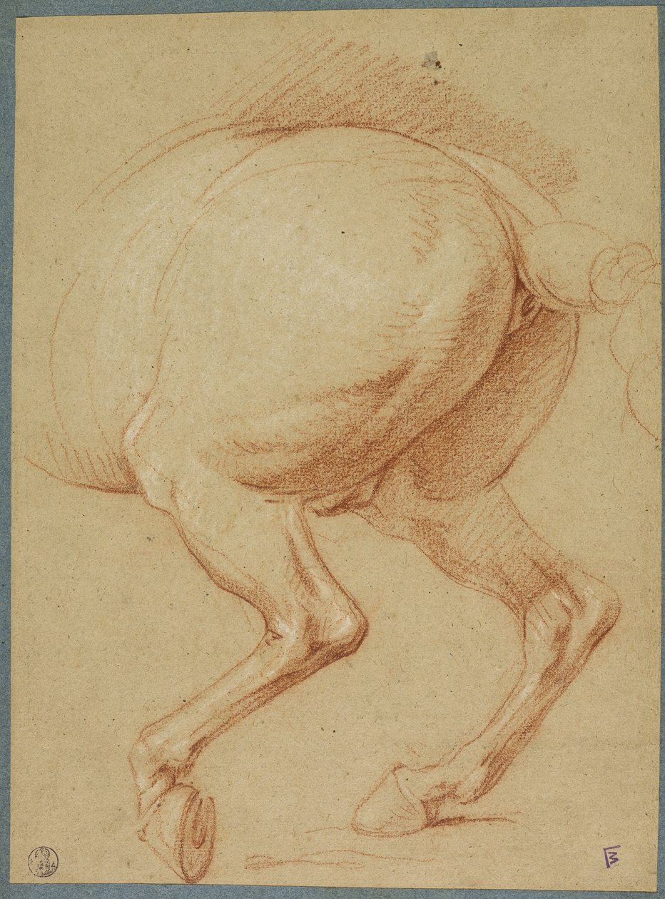 Bakbenen på en häst av Charles Le Brun