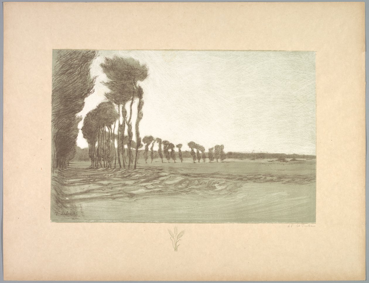 Suite de Paysages: Landscape, Plate 5, Remarque, Three Stalks of Wheat, 1892-1893. av Charles Marie Dulac