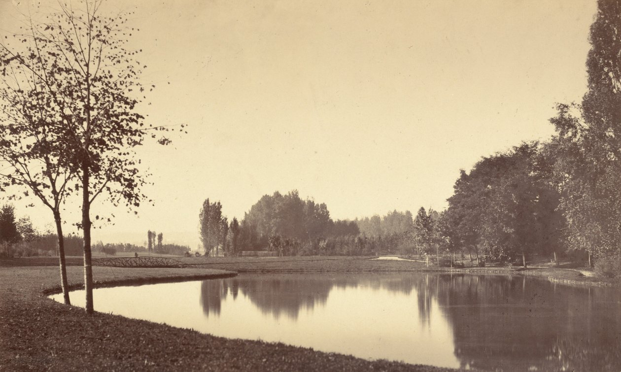 Bois de Boulogne, 1858 (foto) av Charles Marville