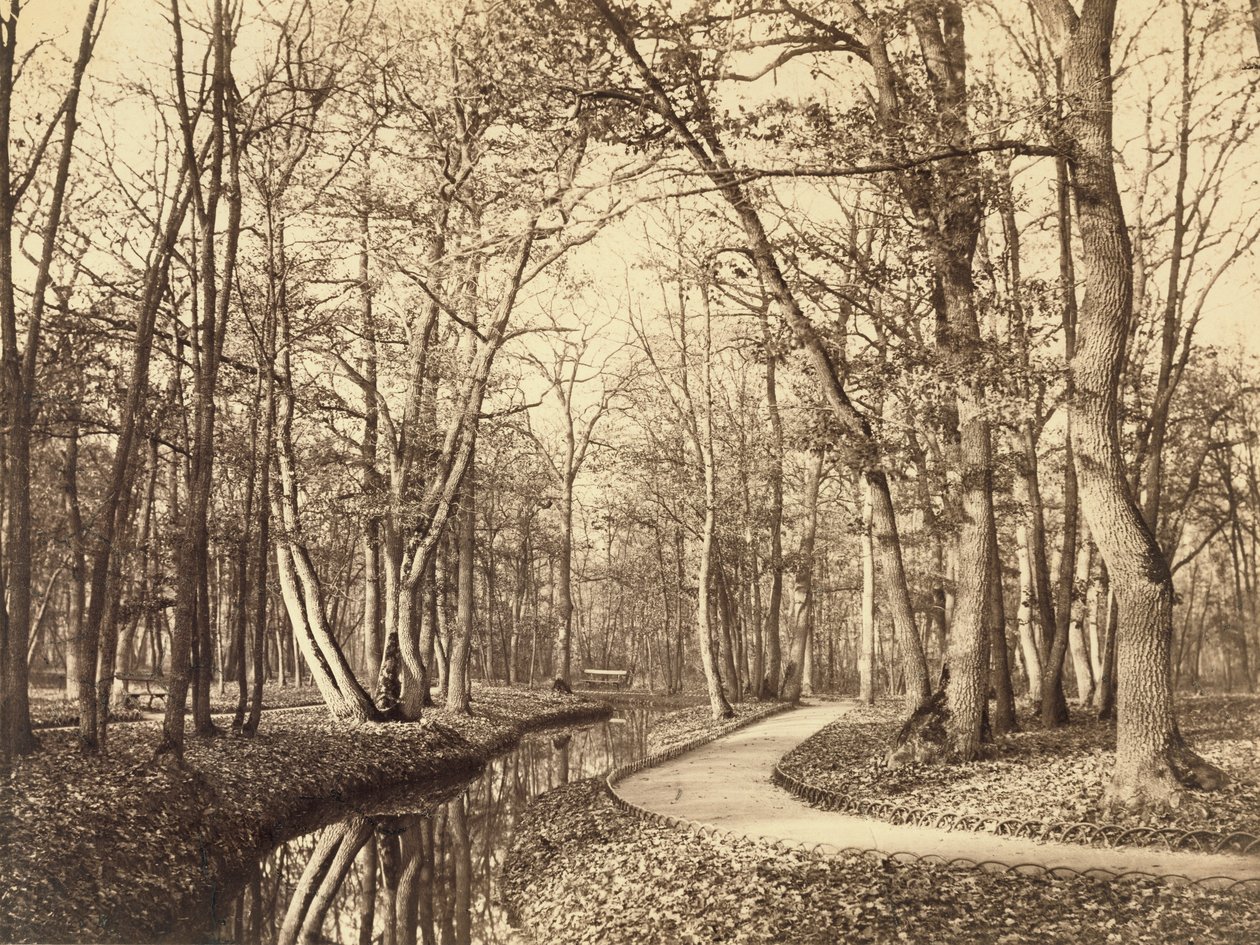 Bois de Boulogne, Paris av Charles Marville