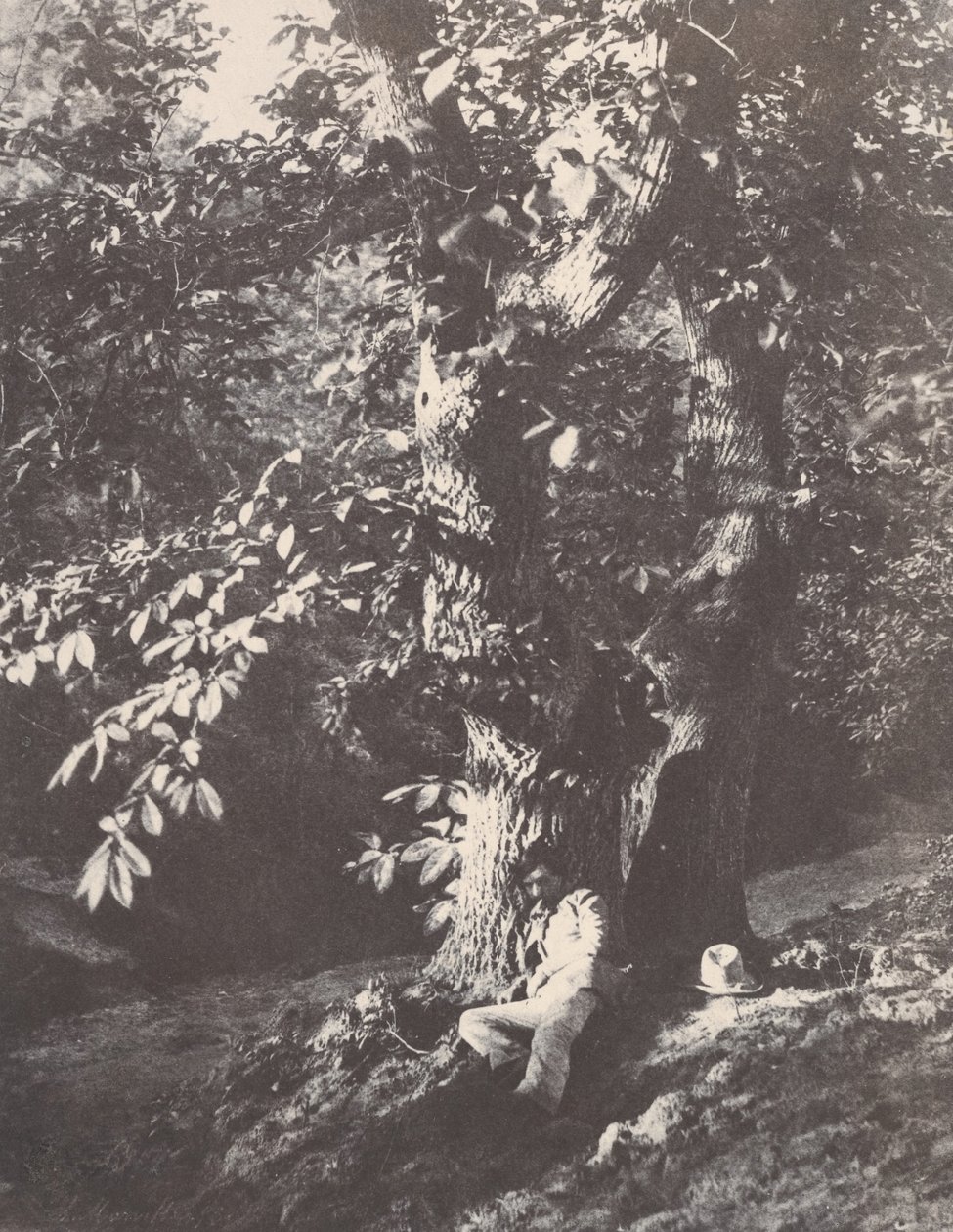 Man liggande vid foten av en kastanjeträd, 1850-53. av Charles Marville