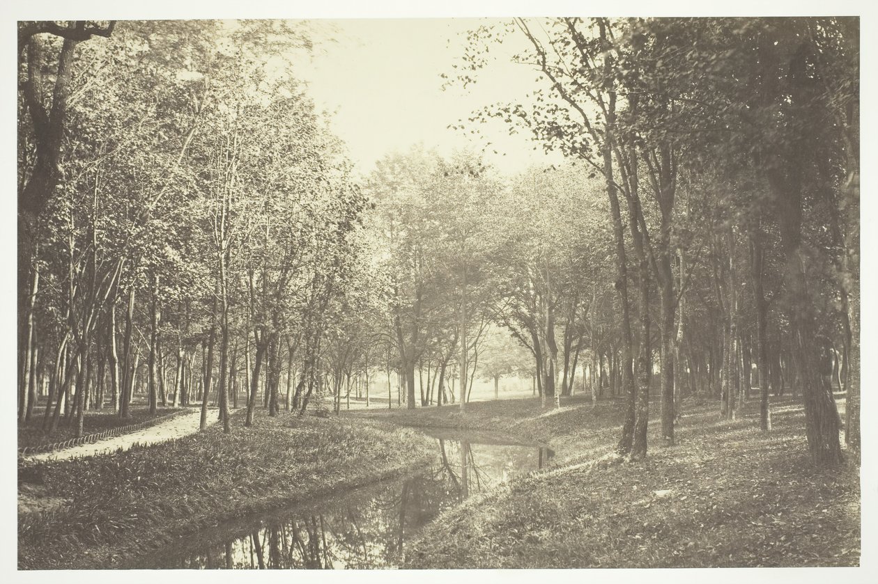 Utan titel, c. 1850. [Träd nära vatten i Bois de Boulogne, en park i Paris]. av Charles Marville