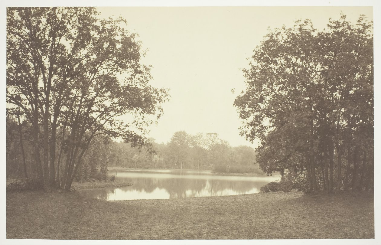 Utan titel, c. 1850. [Träd nära vatten i Bois de Boulogne, en park i Paris]. av Charles Marville
