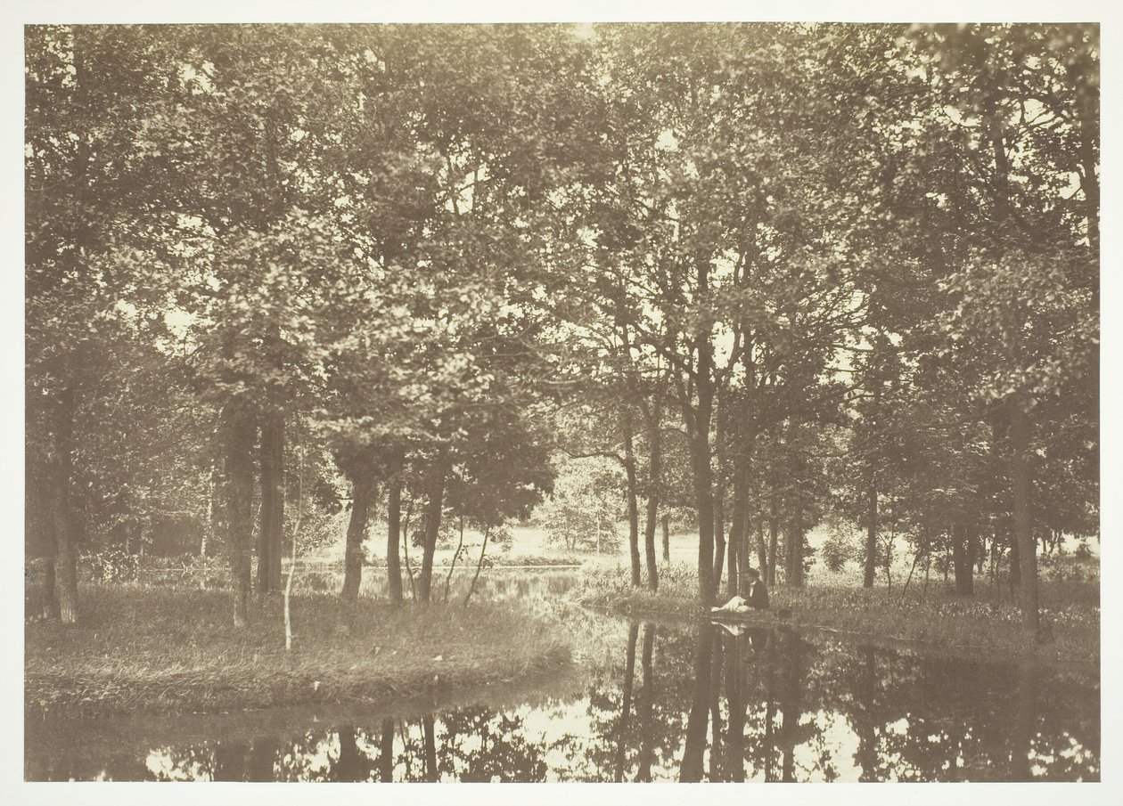 Utan titel, c. 1850. [Träd nära vatten i Bois de Boulogne, en park i Paris]. av Charles Marville