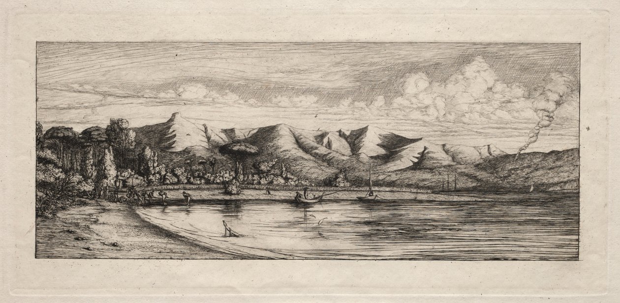 Notfiske utanför Charcoal Burners Point, Akaroa, 1865. av Charles Meryon