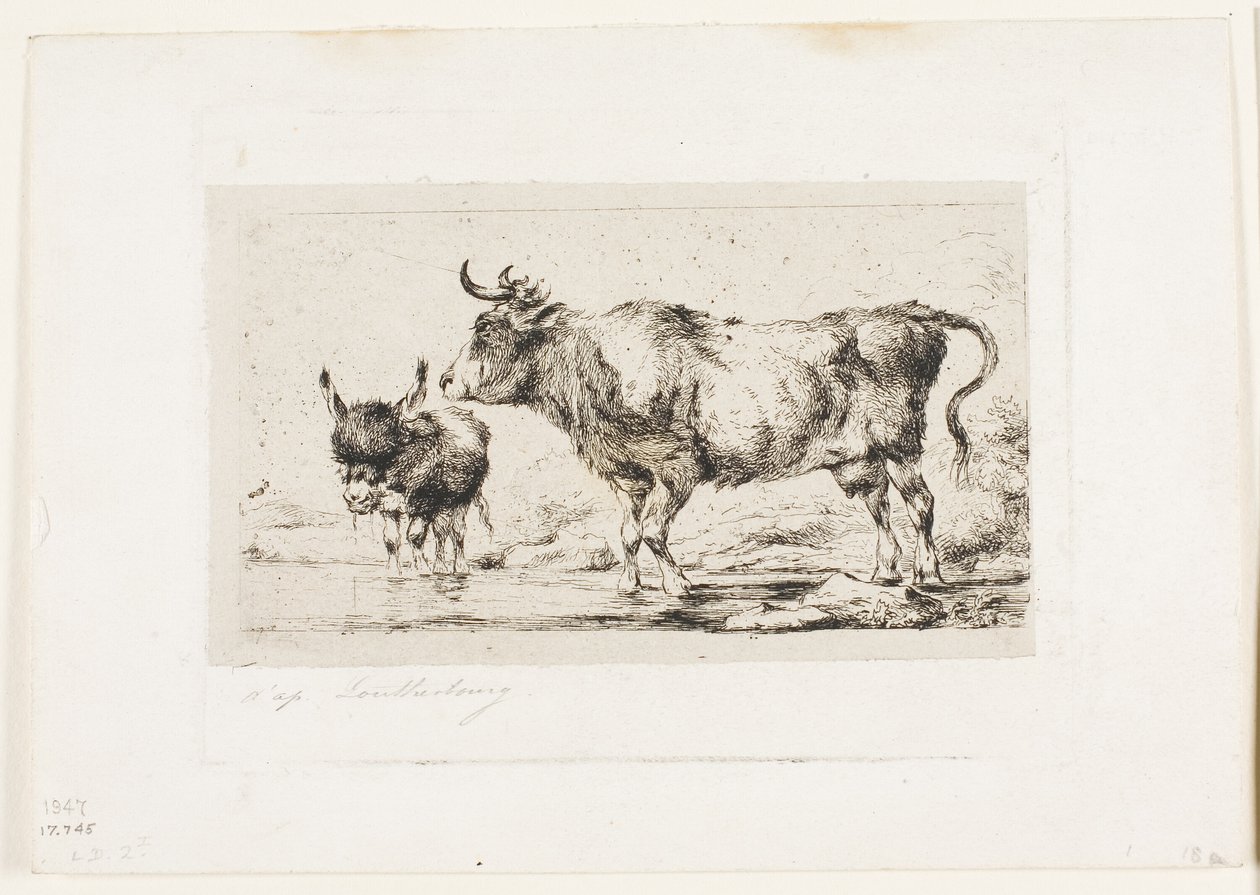 Cow and Ass av Charles Meryon