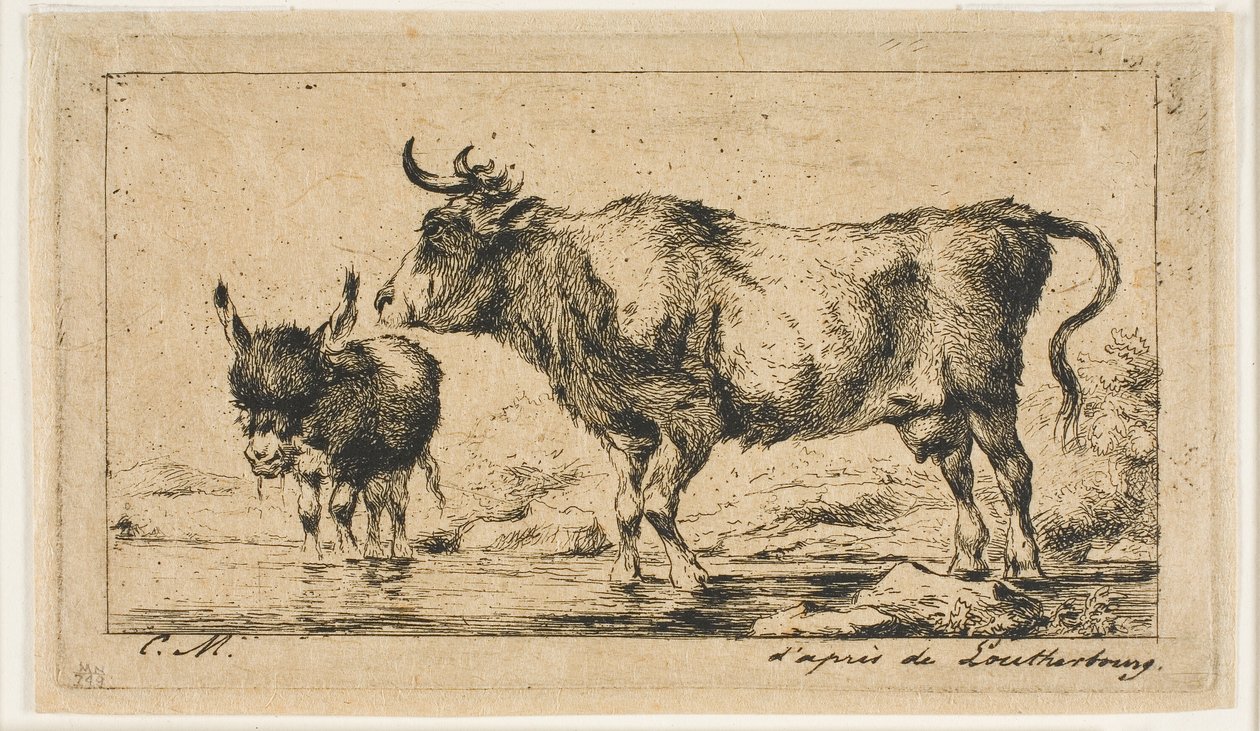 Cow and Ass av Charles Meryon