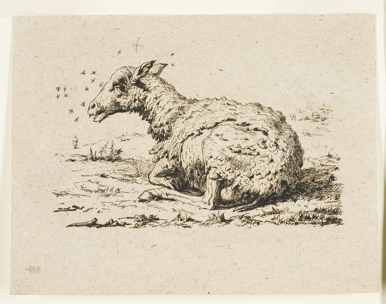 Fåren och flugorna av Charles Meryon