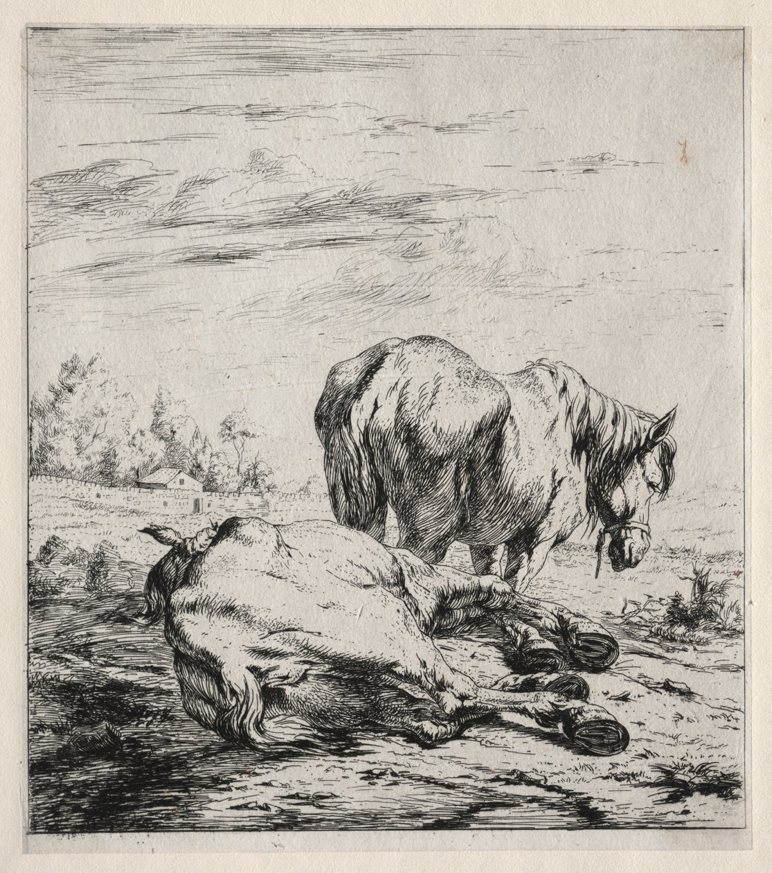 De två hästarna av Charles Meryon