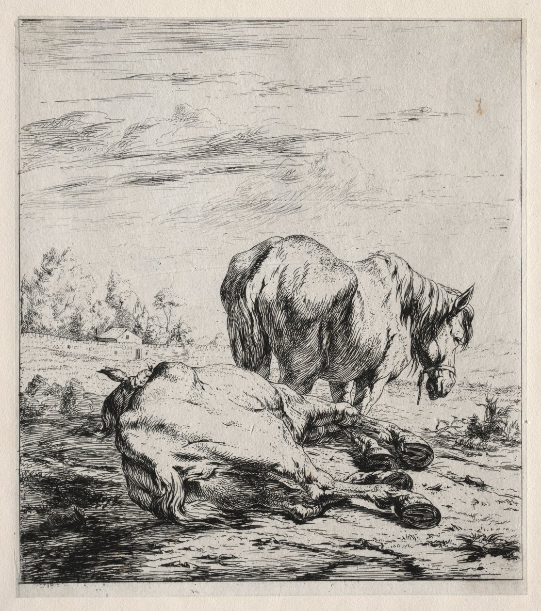De två hästarna, 1850. av Charles Meryon