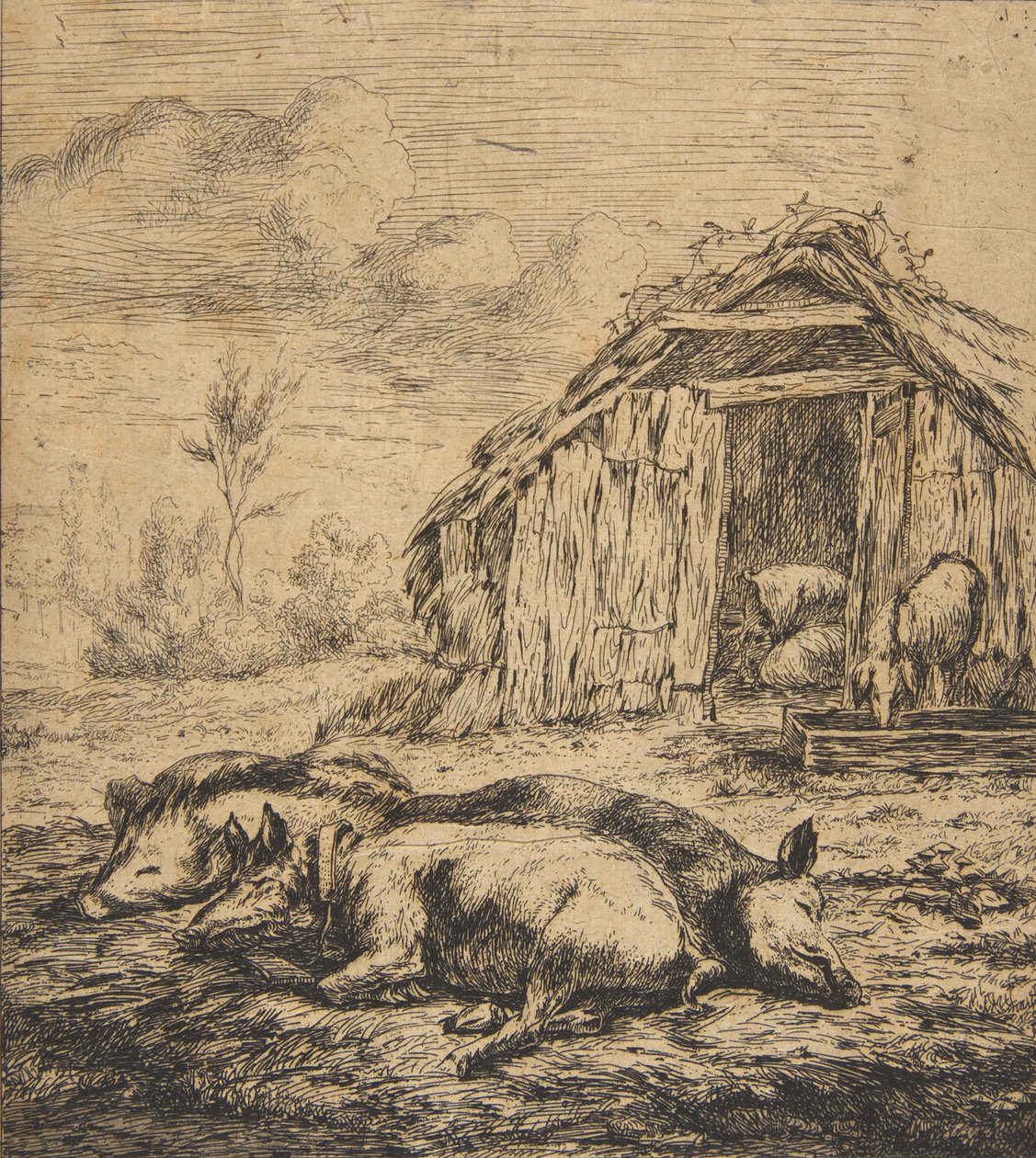 Tre grisar som ligger framför ett skjul, 1850. av Charles Meryon
