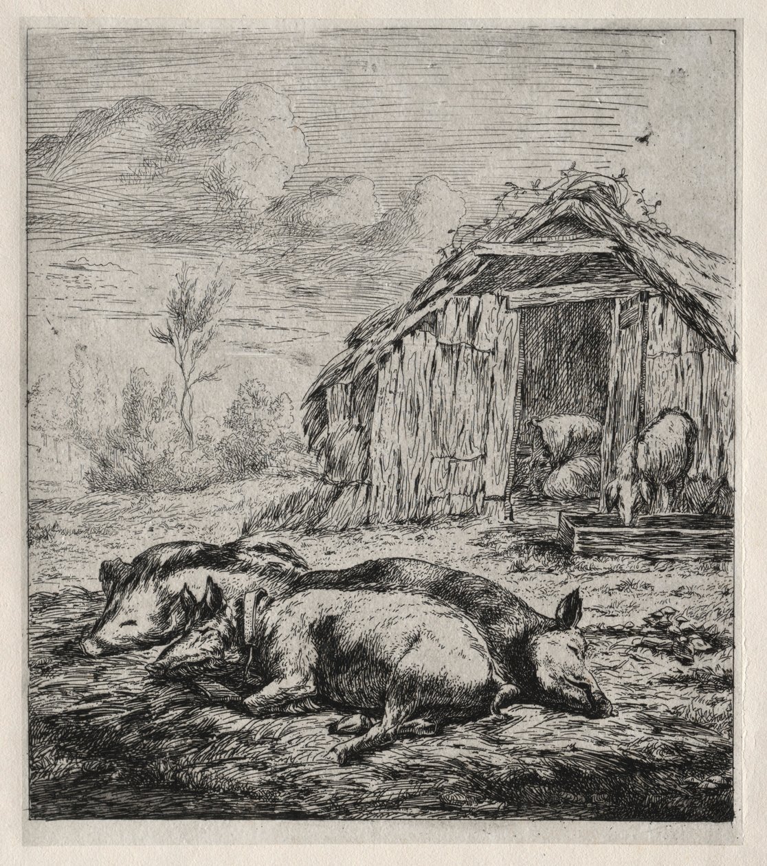 Tre svin som ligger framför en sti, 1850. av Charles Meryon