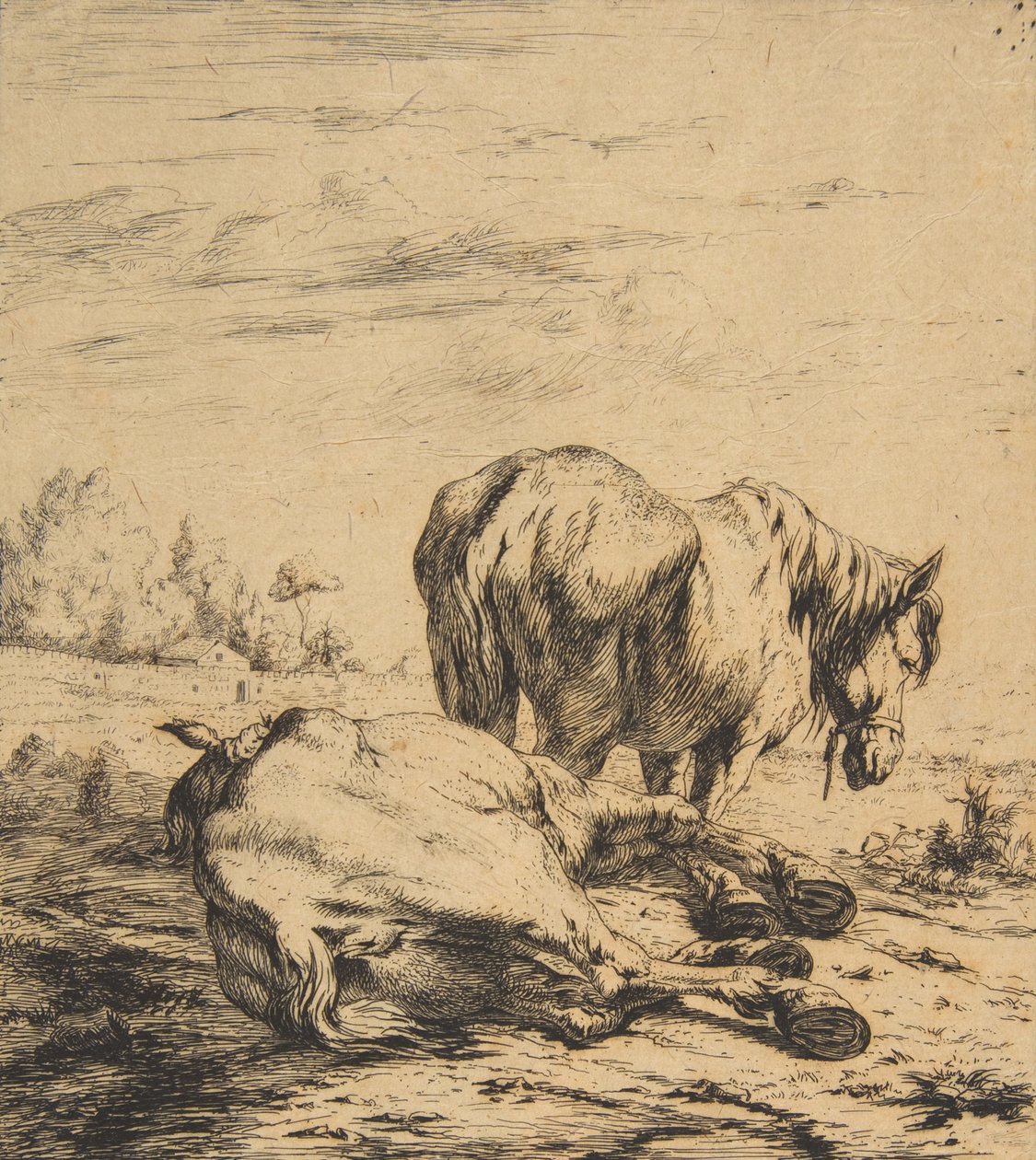 Två hästar, 1850. av Charles Meryon