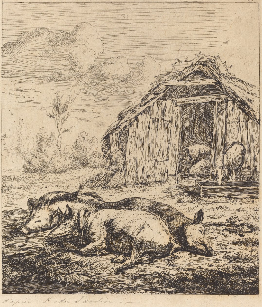 De tre grisarna som ligger framför stallet (tre svin som ligger framför en stall) av Charles Meryon after Karel Dujardin