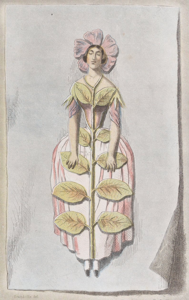 Torkad Periwinkle, från Les Fleurs Animées, 1847., 1847. av Charles Michel Geoffroy