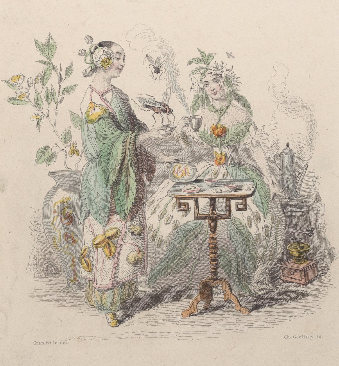 Te och kaffe, från Les Fleurs Animées, 1847. av Charles Michel Geoffroy