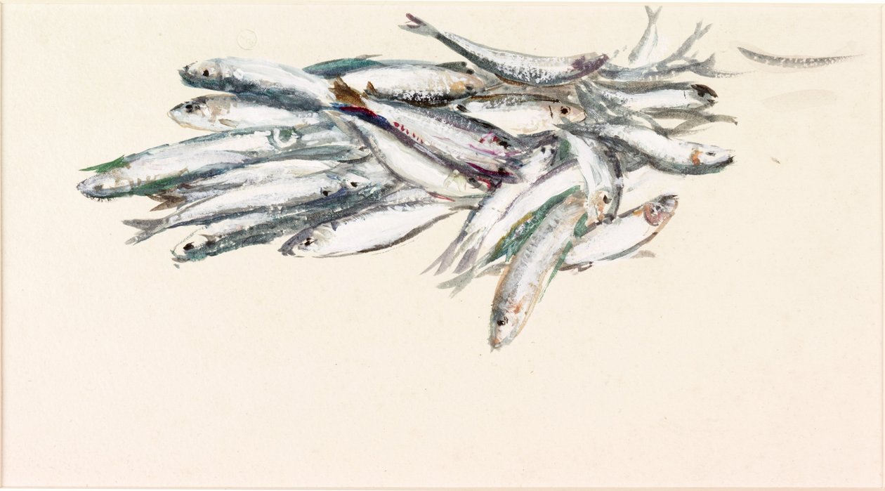 Fiskstudie (akvarell och bodycolour på papper) av Charles Napier Hemy