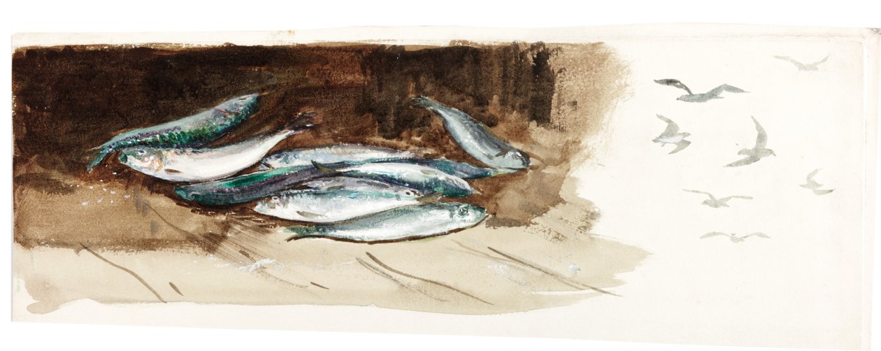 Studie av fisk (kroppsfärg och akvarell på papper) av Charles Napier Hemy