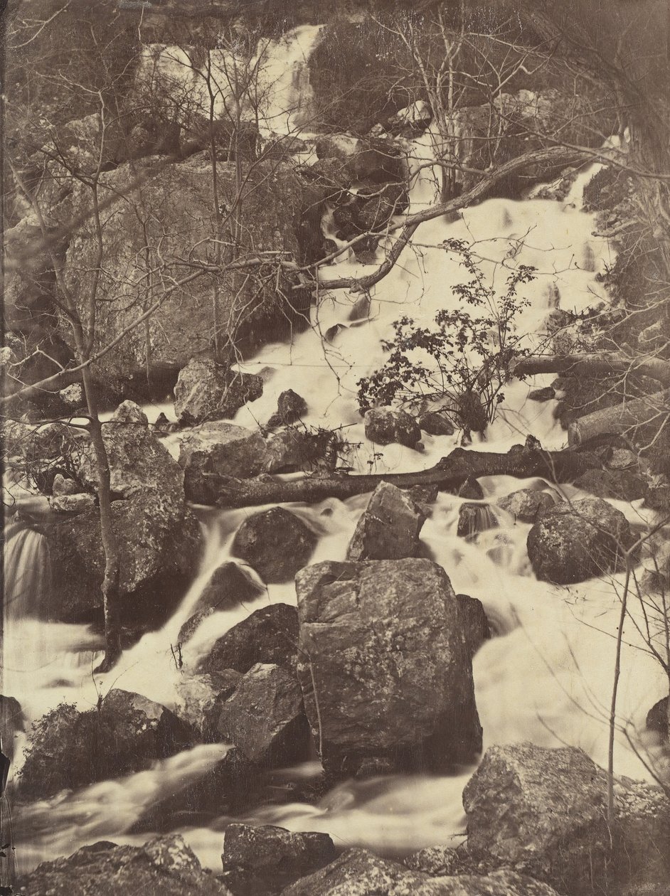 [Träd och vattenfall], 1860-65. av Charles Nègre