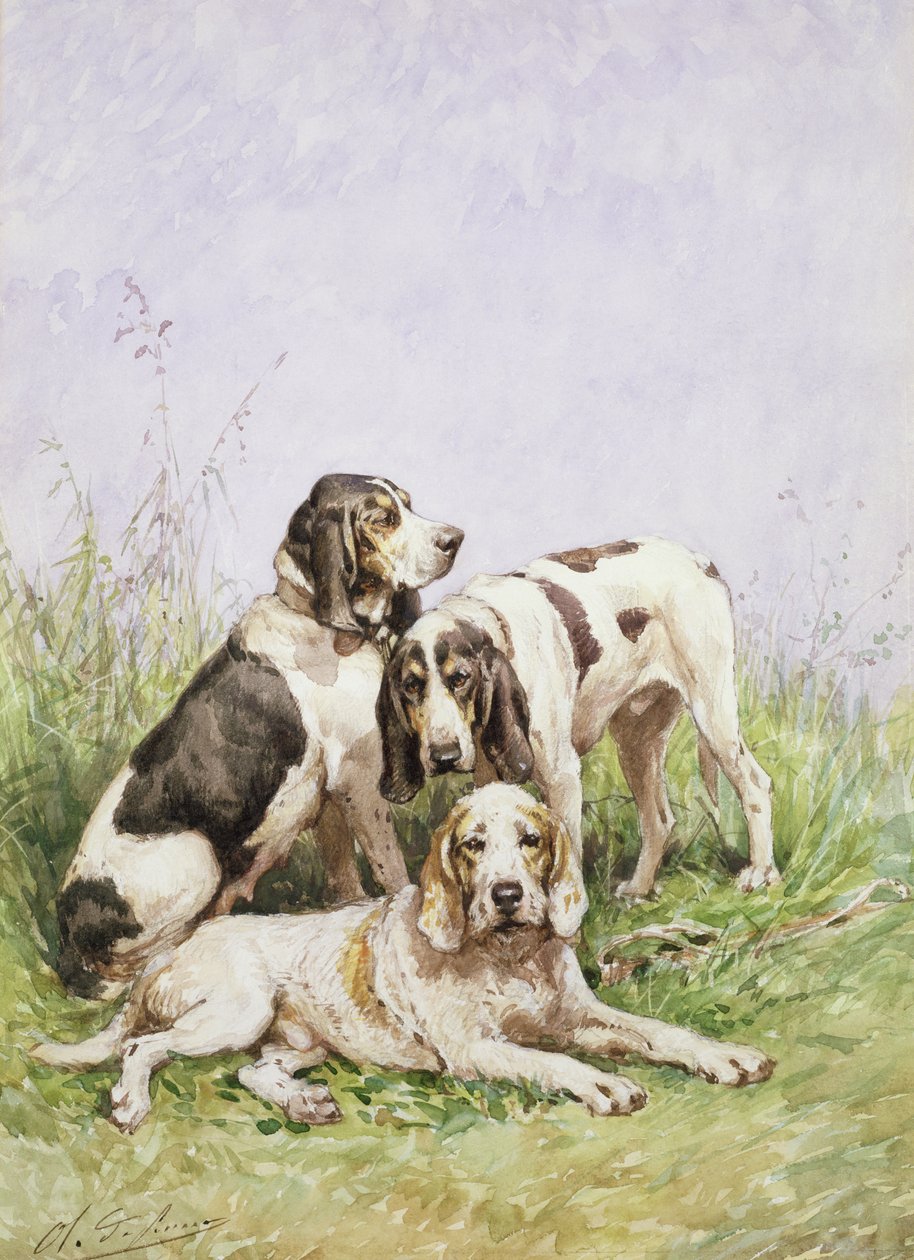 En grupp franska hundar av Charles Oliver de Penne