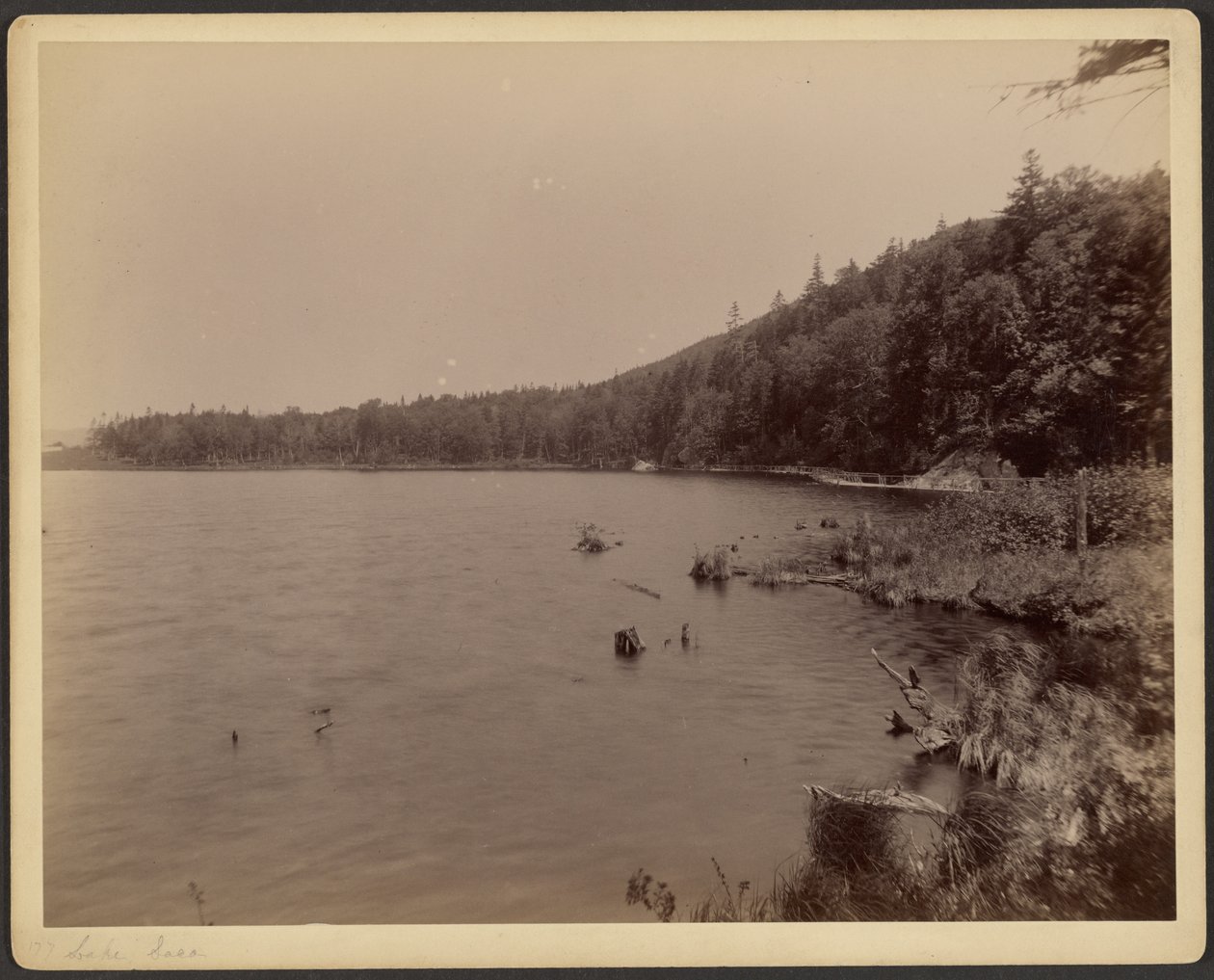 Sacosjön av Charles P. Hibbard