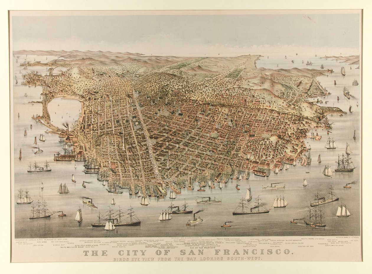 Staden San Francisco - Fågel av Charles Parsons